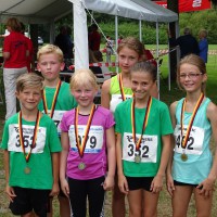 Seeparklauf in Bad Bodenteich 2014